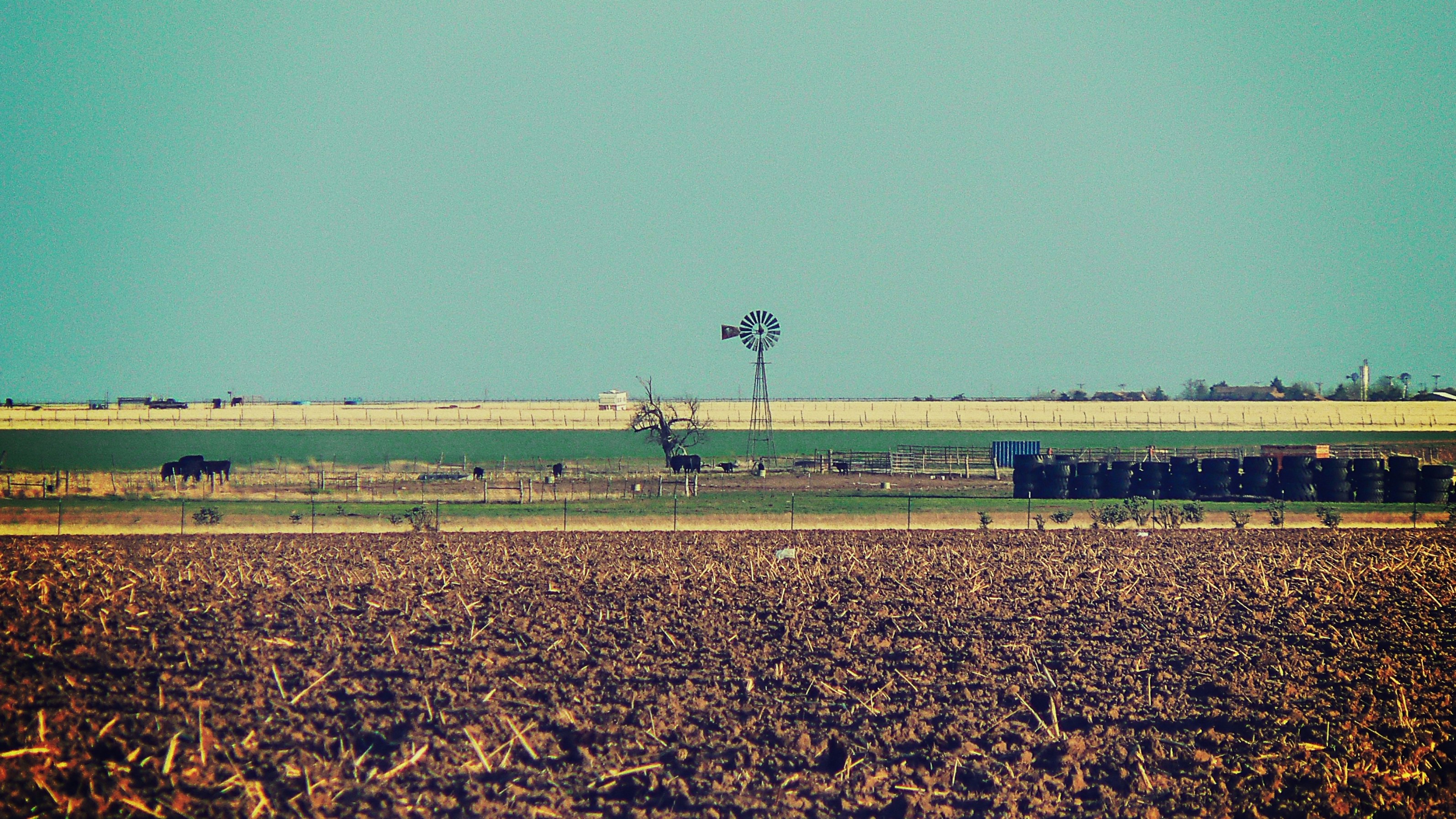 wind pump across pasture